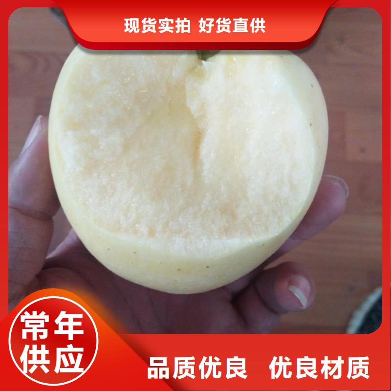 苹果红颜草莓全新升级品质保障