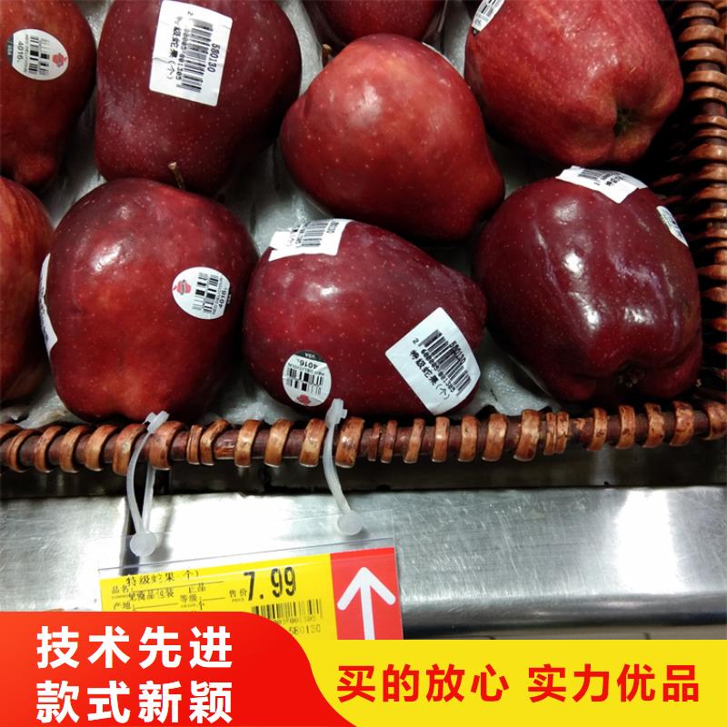 板栗苗视频-福建省泉州市轩园板栗苗可服务区域泉港|惠安|莆田|宁德|福州|龙岩|漳州等