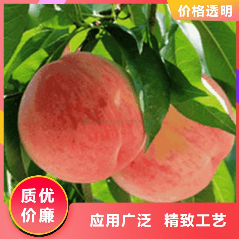 桃【猕猴桃苗】快捷的物流配送