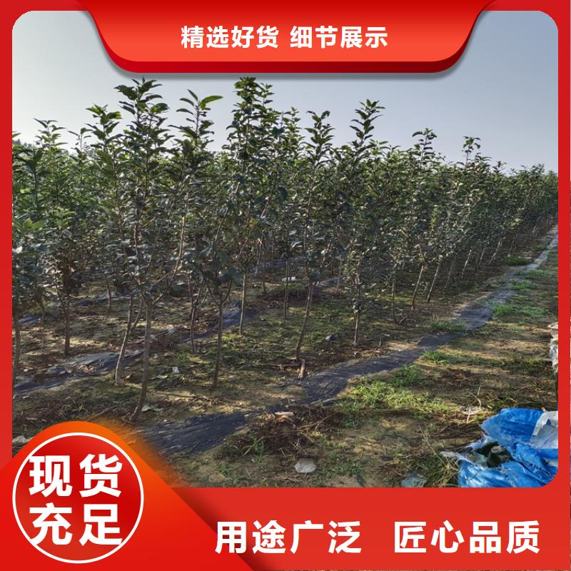 {根据要求定制}【实力厂家 李子,苹果苗国标检测放心购买】-v651.com