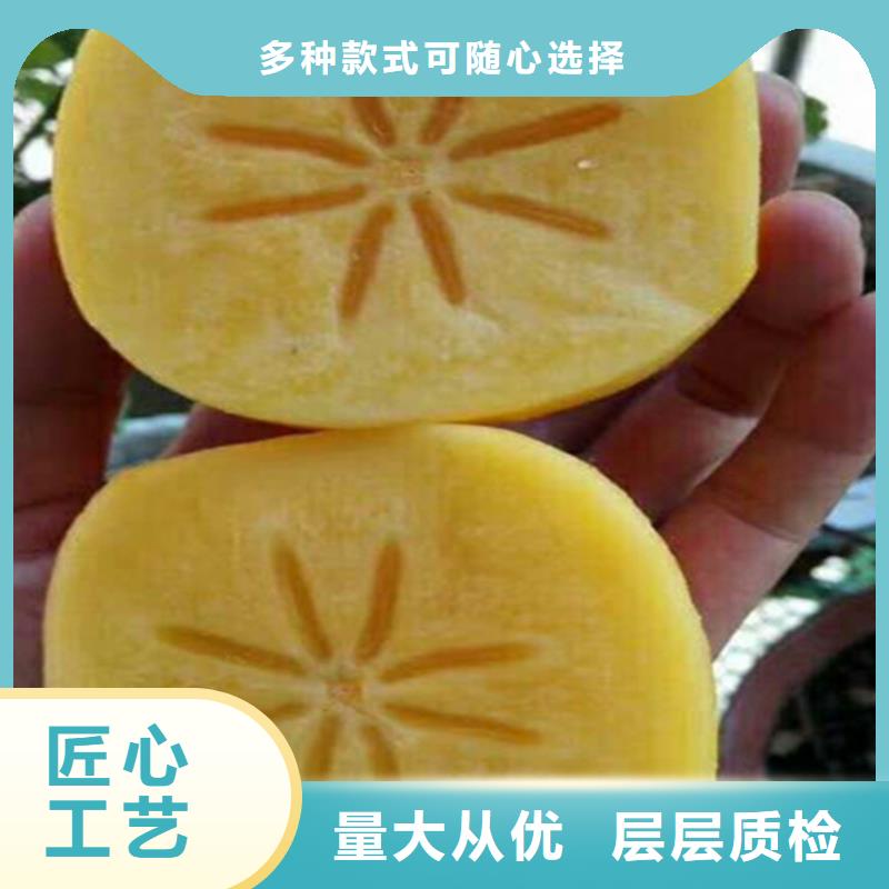 板栗苗-视频-肇庆市板栗苗-轩园园艺场(肇庆市分公司)服务区域四会|端州|广州|云浮|湛江|中山|梅州