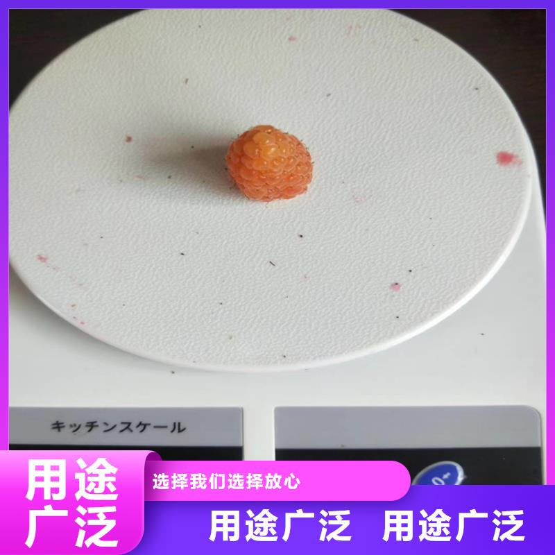 敢与同行比服务 树莓 【蓝莓苗】海量现货-同城用品质说话_产品中心
