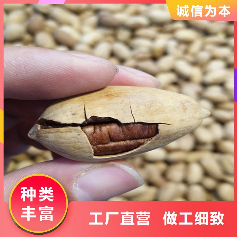 碧根果花椒苗批发价格