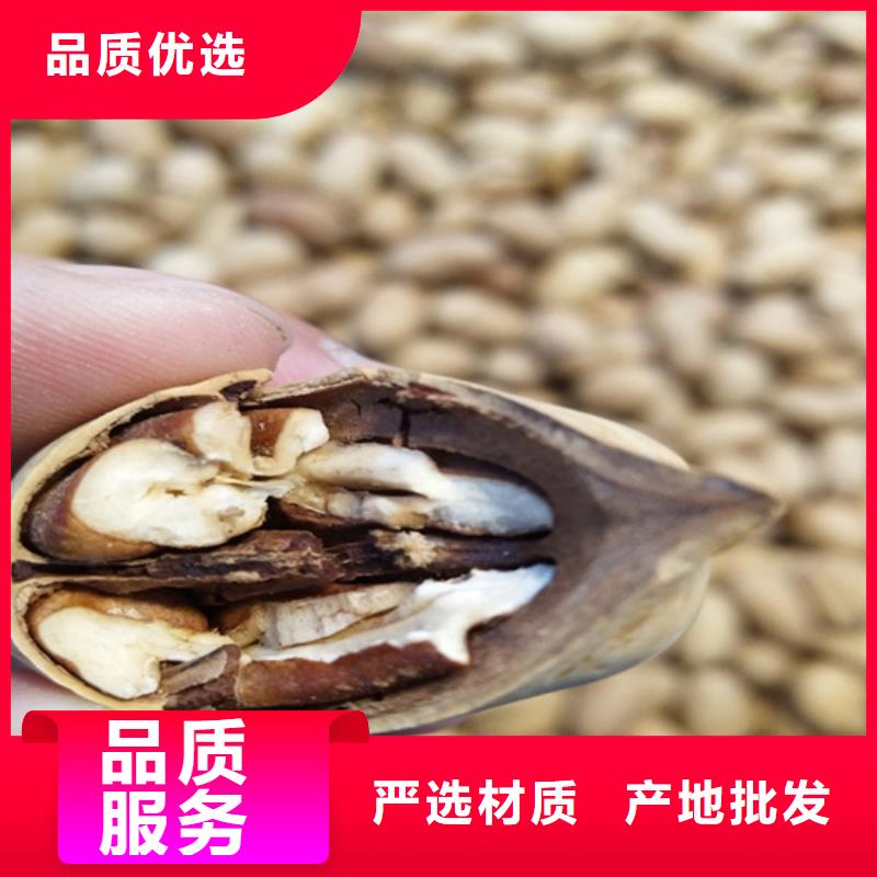 碧根果-苹果苗实力雄厚品质保障
