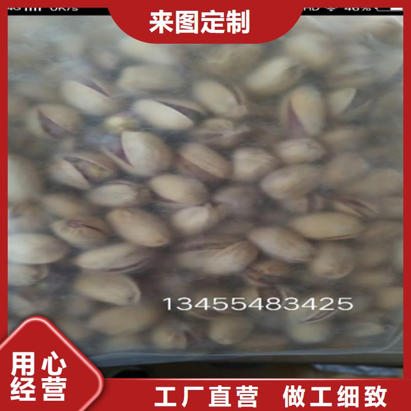 板栗苗视频-西藏日喀则市轩园板栗苗可服务区域吉隆|仲巴|拉萨|山南|昌都|林芝等