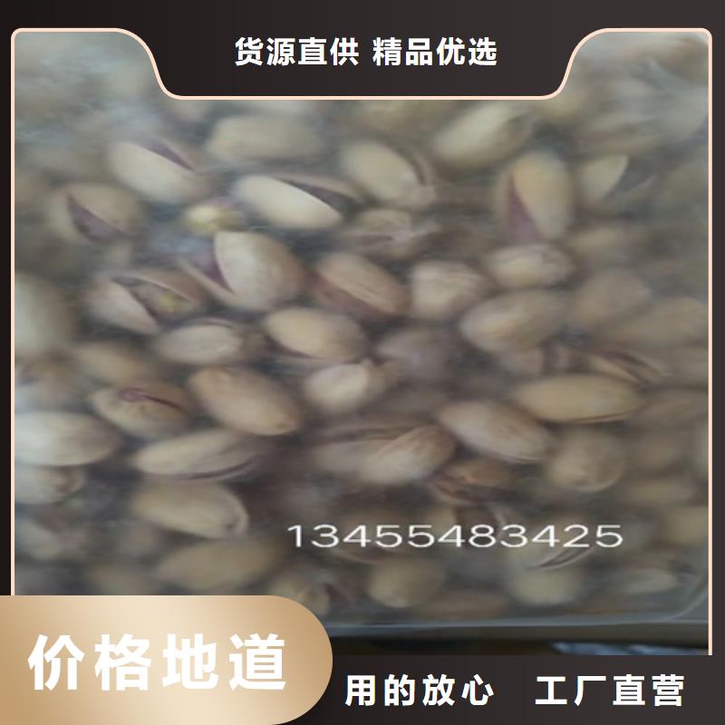 板栗苗视频-板栗苗(轩园)覆盖地域吉林省辽源市东辽|东丰|长春|通化|四平|吉林|延边