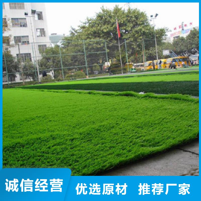 人造草坪 硅PU球场随心所欲定制