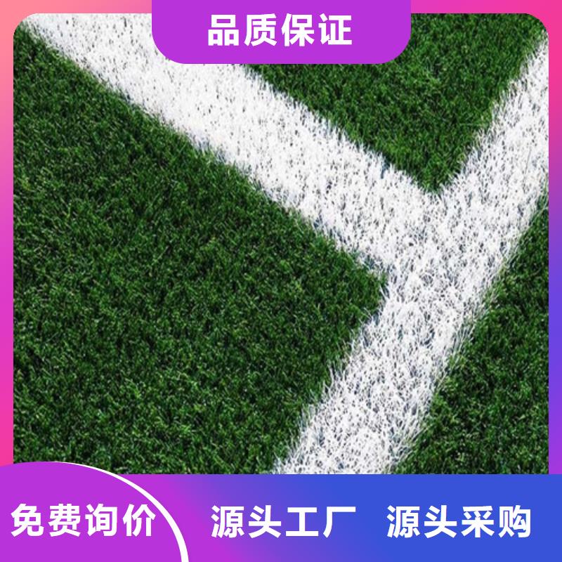人造草坪塑胶跑道精品优选