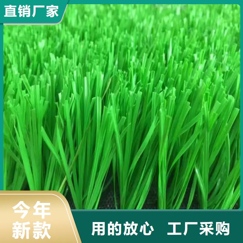 人造草坪,体育馆塑胶跑道实体诚信经营