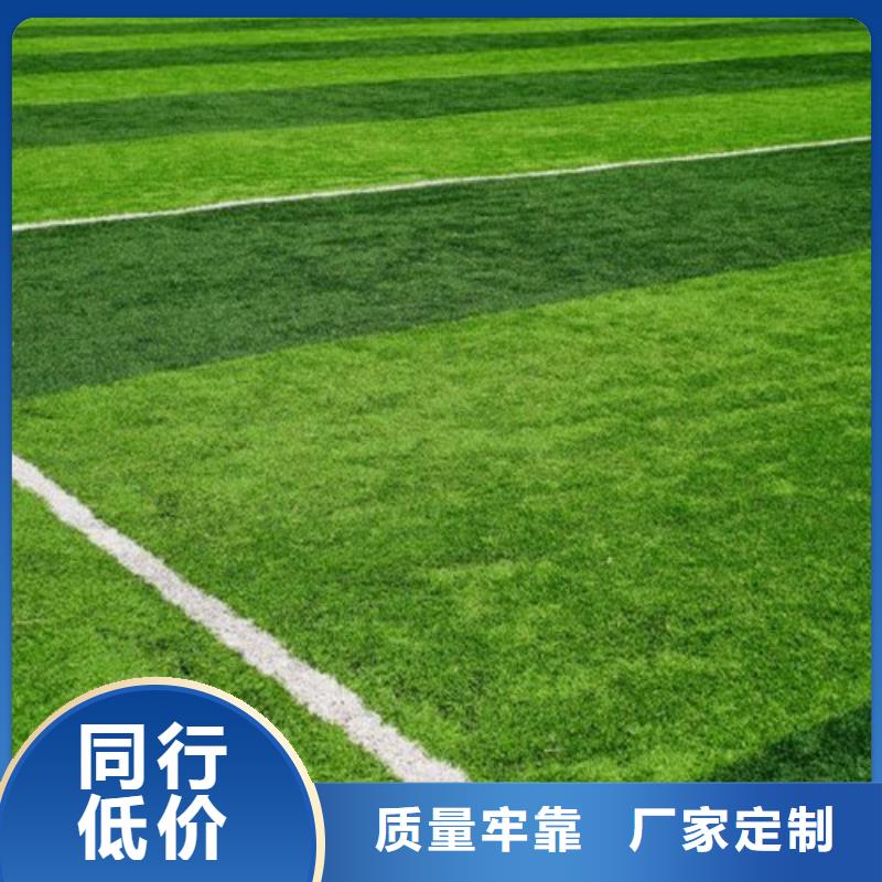 人造草坪硅pu篮球场行业优选