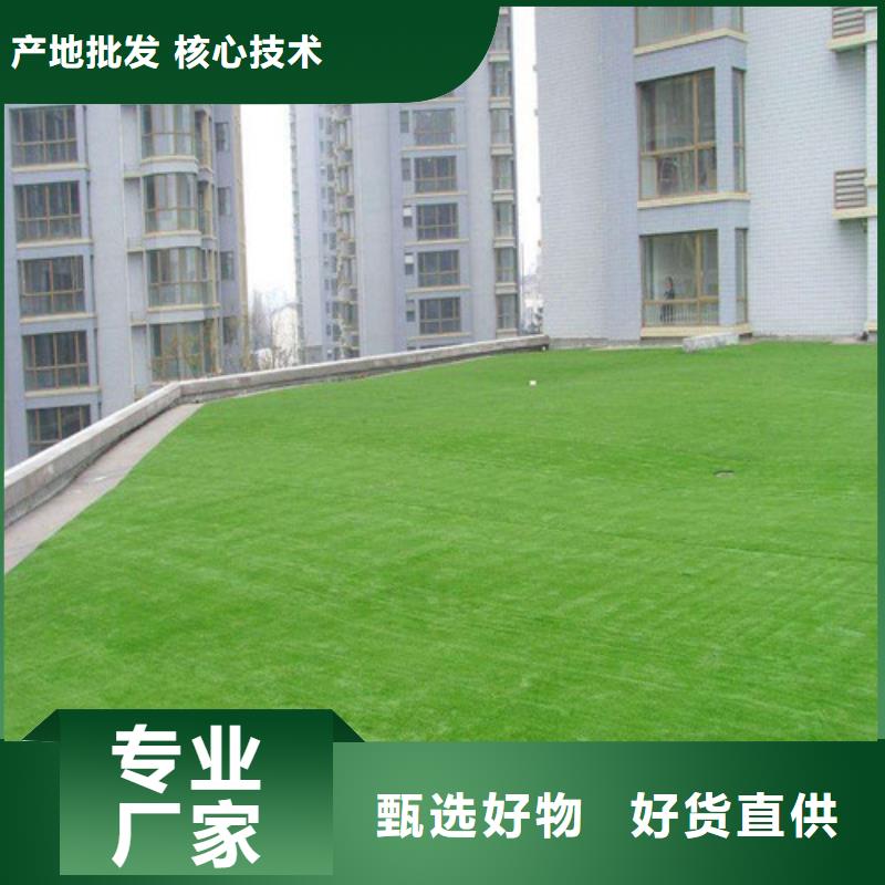 人造草坪【陶瓷防】专注质量