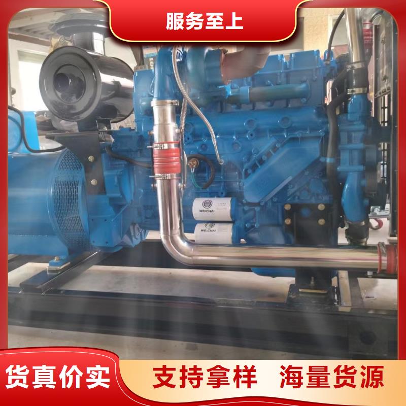 2025更新长寿租发电机