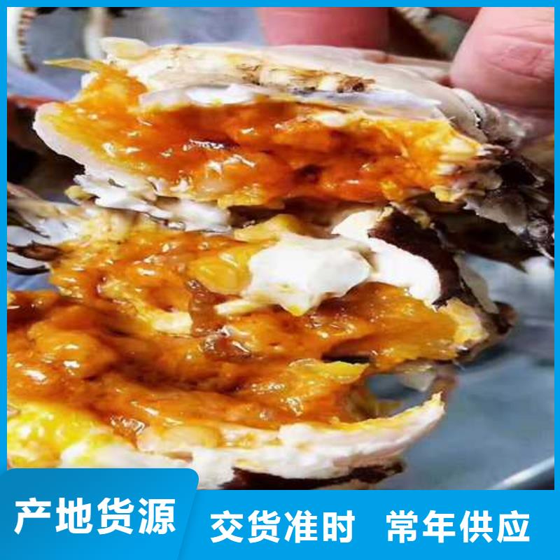 阳澄湖大闸蟹-视频-安阳市阳澄湖大闸蟹-河南省安阳市龙安|殷都|濮阳|商丘|鹤壁|南阳|焦作【此地】公司