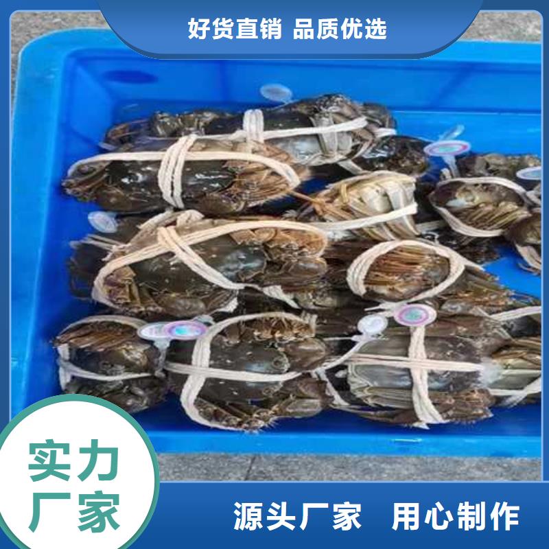 阳澄湖蟹这里好苏州这里好