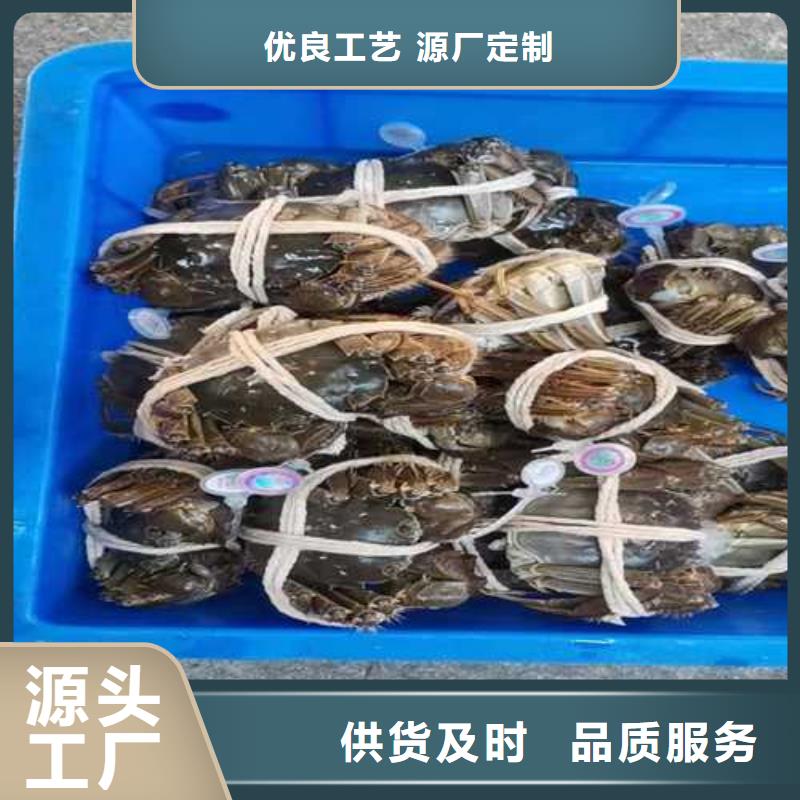 苏州阳澄湖大闸蟹哪家好