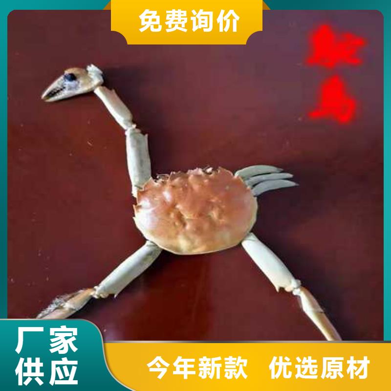 阳澄湖买蟹哪里正宗苏州莲花岛顾记蟹庄