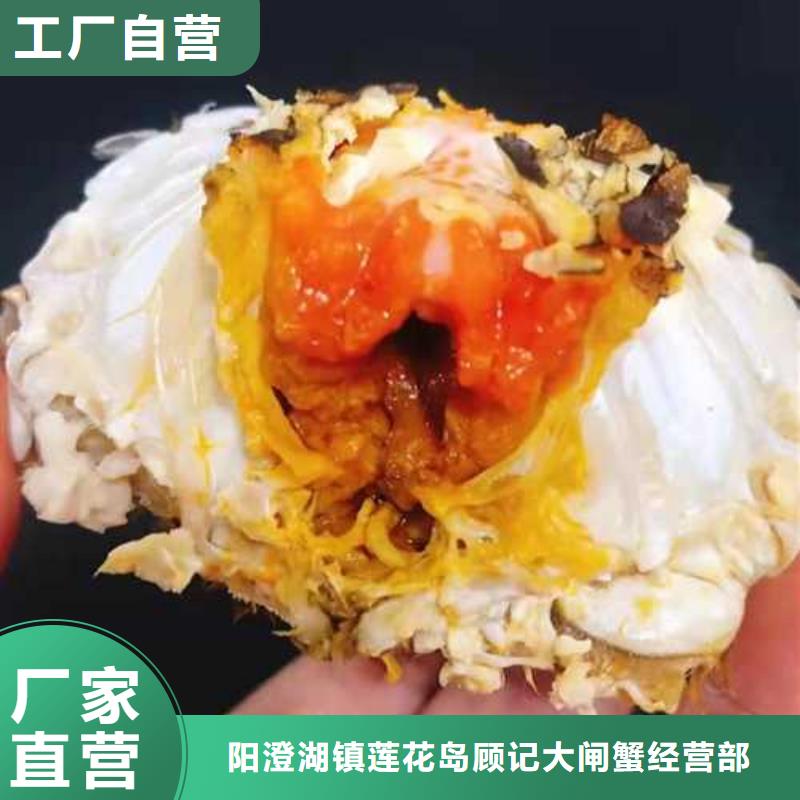 阳澄湖吃蟹这里好苏州莲花岛顾记蟹庄