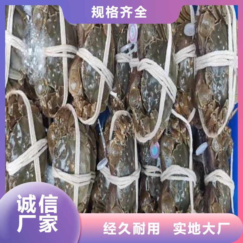 阳澄湖大闸蟹哪家比较正宗