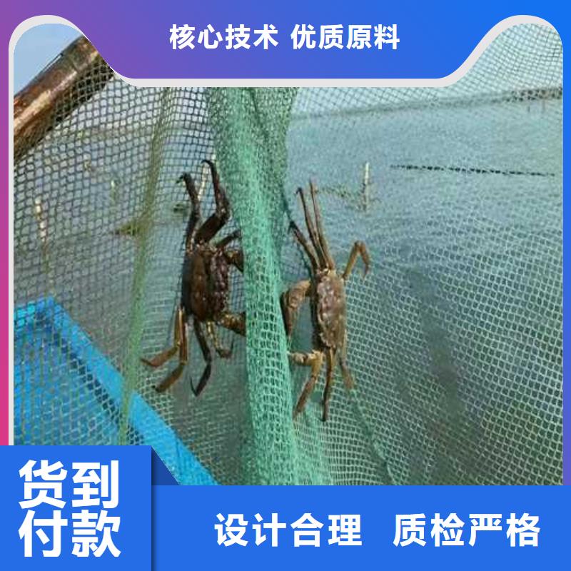 阳澄湖吃蟹这里好苏州莲花岛顾记蟹庄