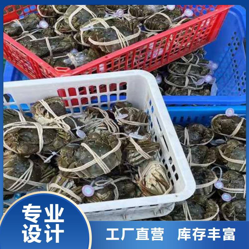 保亭县苏州阳澄湖大闸蟹那家实惠味道好