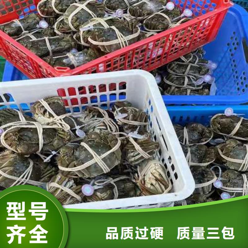 江苏阳澄湖大闸蟹哪家好