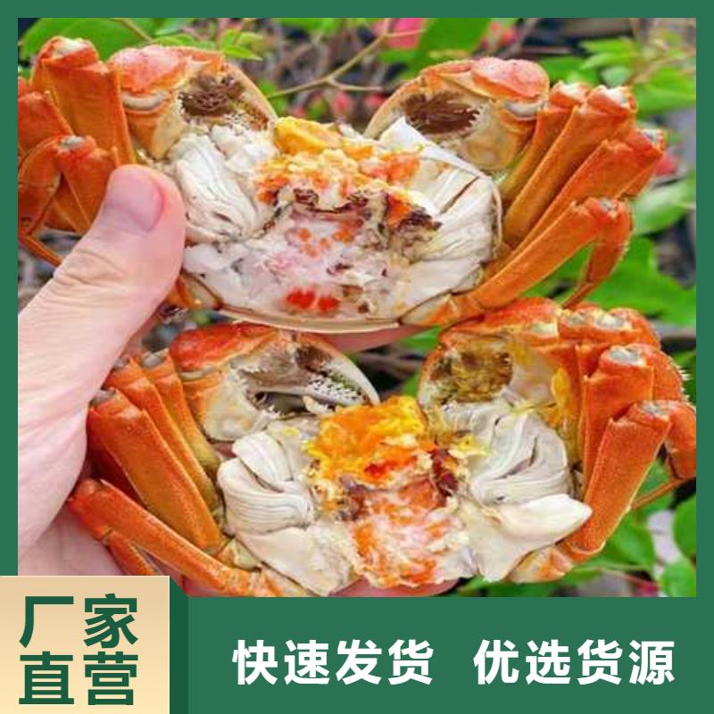 客户信赖的厂家 大闸蟹-【买大闸蟹】按需定做