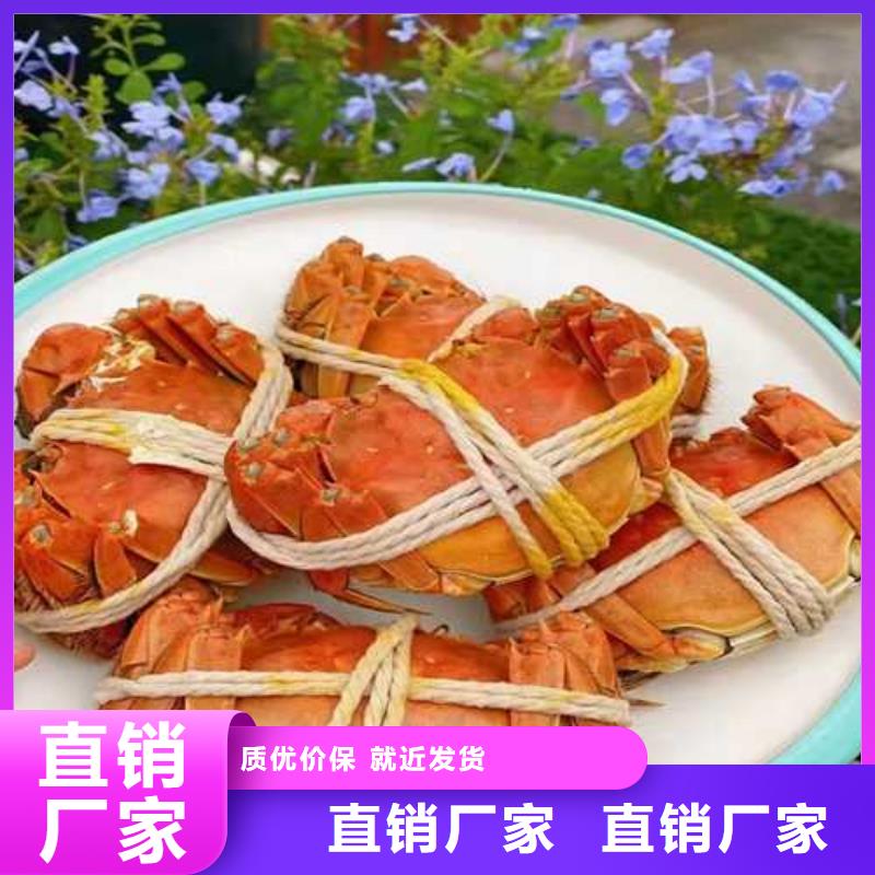 阳澄湖买蟹哪里正宗苏州莲花岛顾记蟹庄