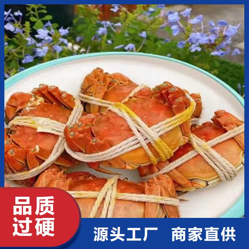 阳澄湖吃蟹哪里正宗苏州这里好