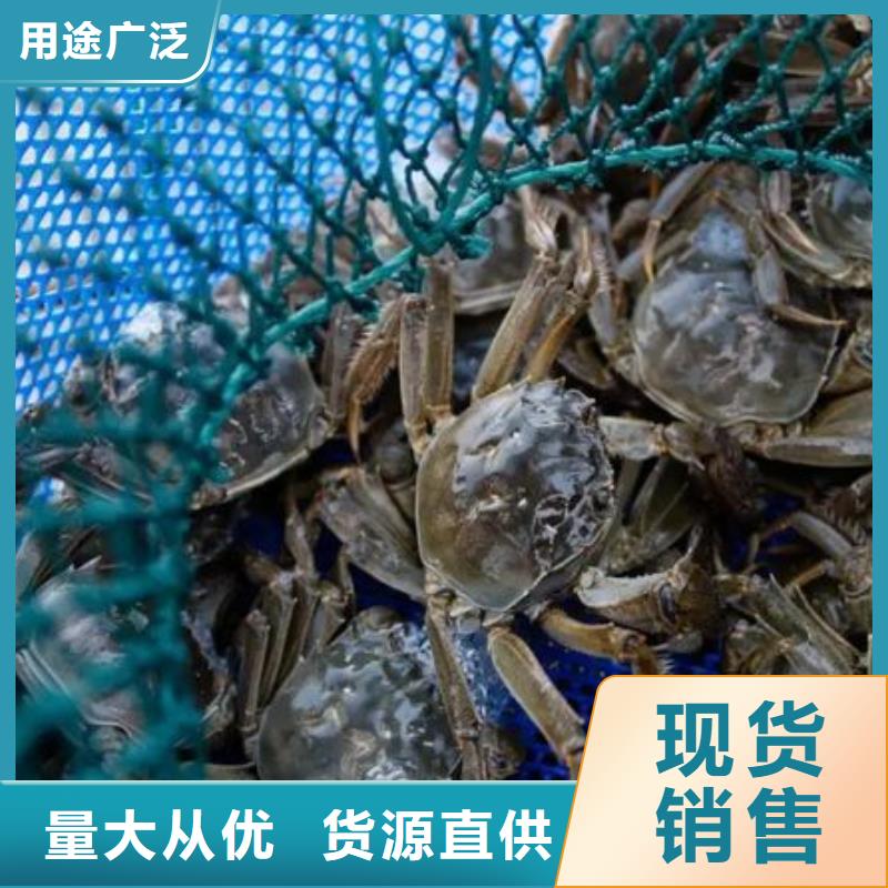 苏州阳澄湖大闸蟹哪里正宗