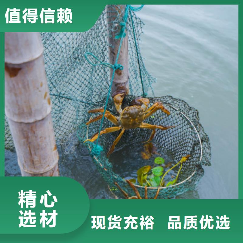 阳澄湖大闸蟹哪家比较正宗