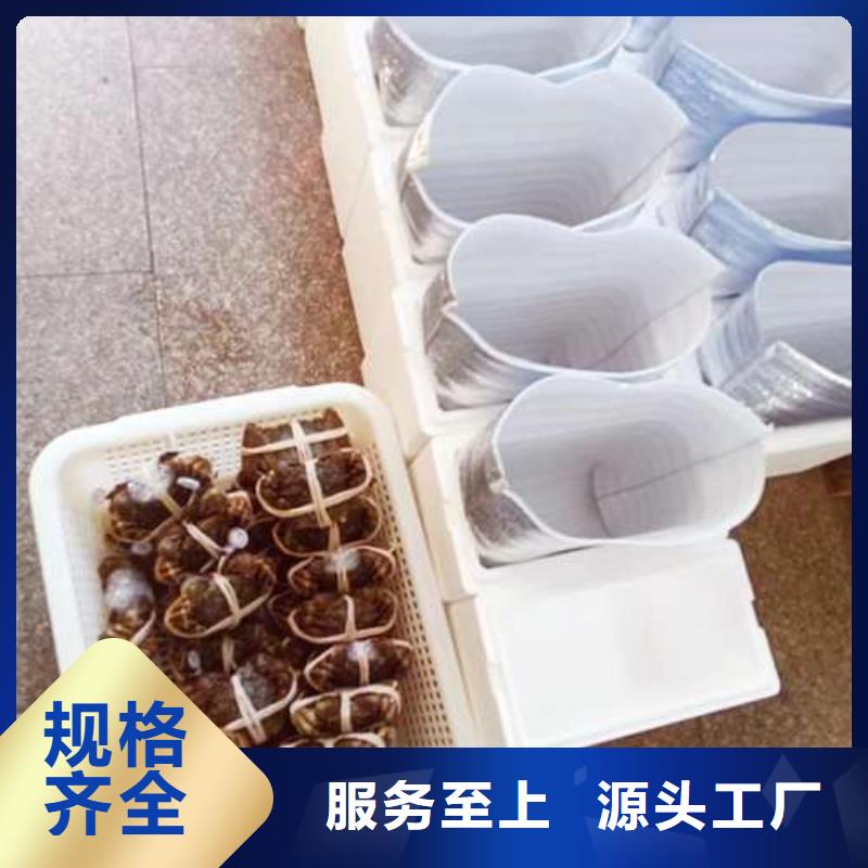 阳澄湖大闸蟹-视频-陕西省汉中市|南郑|镇巴|榆林|安康|宝鸡|西安阳澄湖大闸蟹-顾记