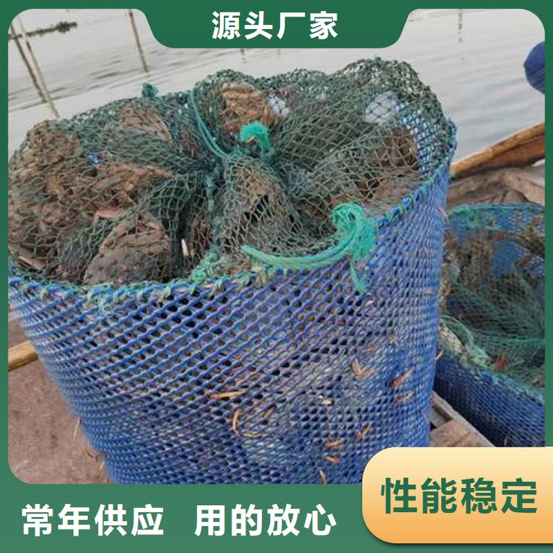 阳澄湖大闸蟹-视频-阳澄湖大闸蟹(顾记)覆盖地域广西省来宾市合山|象州|南宁|贺州|贵港|钦州|北海|防城港|河池