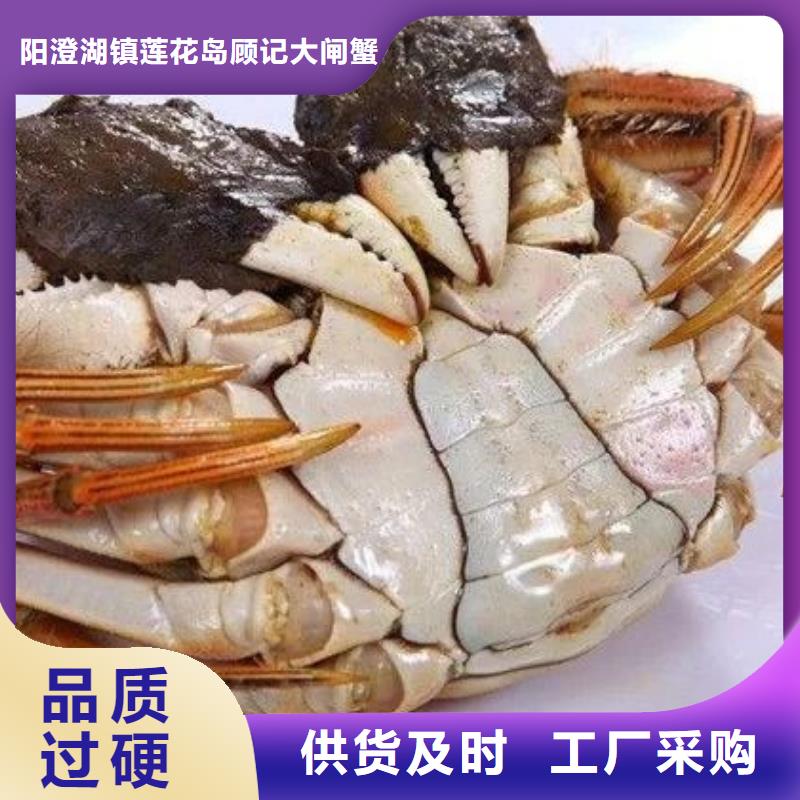 阳澄湖大闸蟹-视频-陕西省汉中市|南郑|镇巴|榆林|安康|宝鸡|西安阳澄湖大闸蟹-顾记