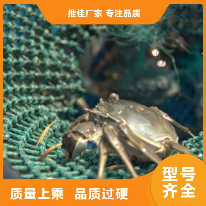 阳澄湖大闸蟹-视频-阳澄湖大闸蟹(顾记)覆盖地域广西省来宾市合山|象州|南宁|贺州|贵港|钦州|北海|防城港|河池