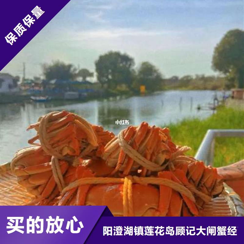 甄选:【一站式供应 螃蟹 阳澄湖大闸蟹订购厂家直销心钱】