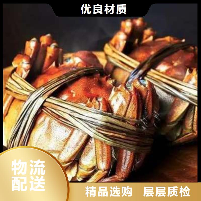 阳澄湖大闸蟹视频-阳澄湖大闸蟹-阳澄湖镇岛顾记大闸蟹经营部(泸州市分公司)服务区域泸县|江阳|眉山|凉山|阿坝|广安