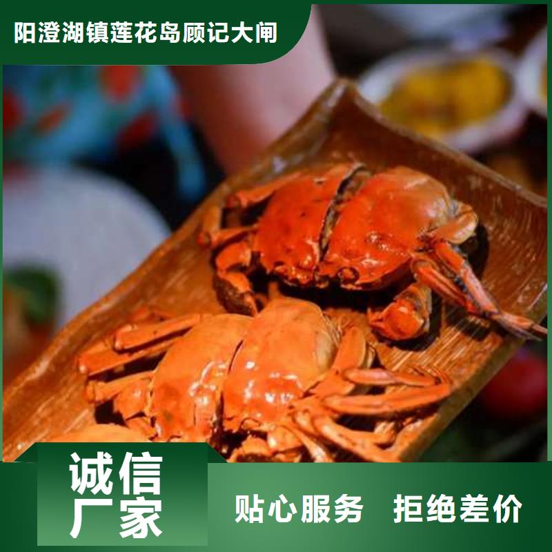 阳澄湖大闸蟹视频-阳澄湖大闸蟹-阳澄湖镇岛顾记大闸蟹经营部(泸州市分公司)服务区域泸县|江阳|眉山|凉山|阿坝|广安
