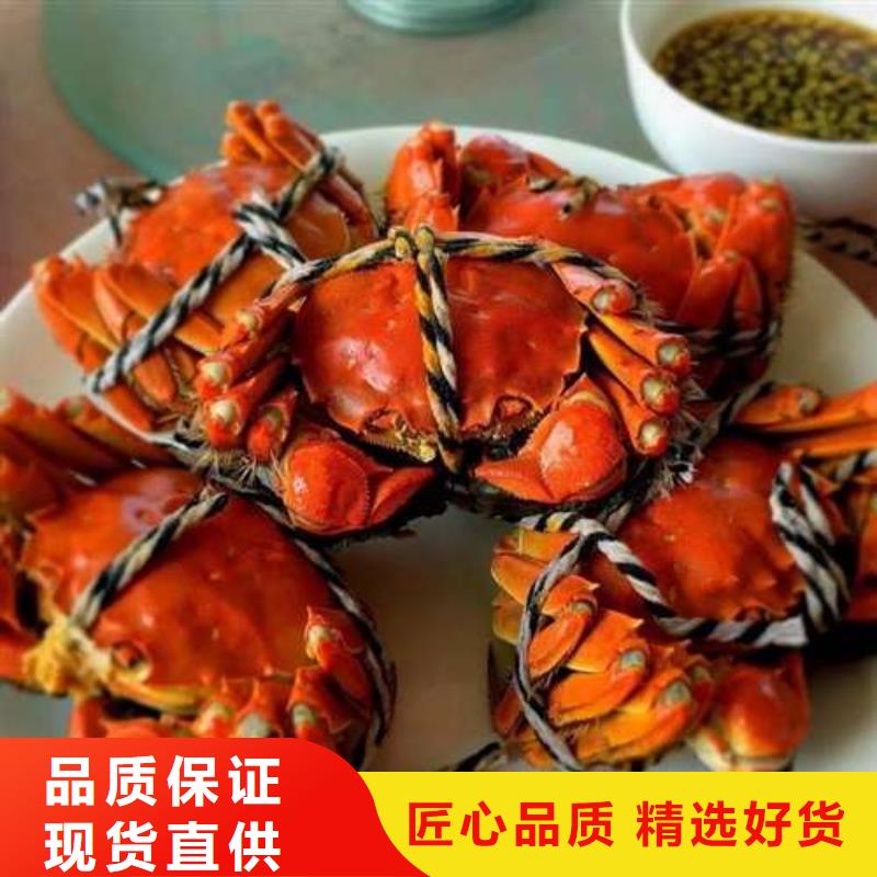 (公司)一站式供应【螃蟹】,阳澄湖大闸蟹用品质说话-v651.com