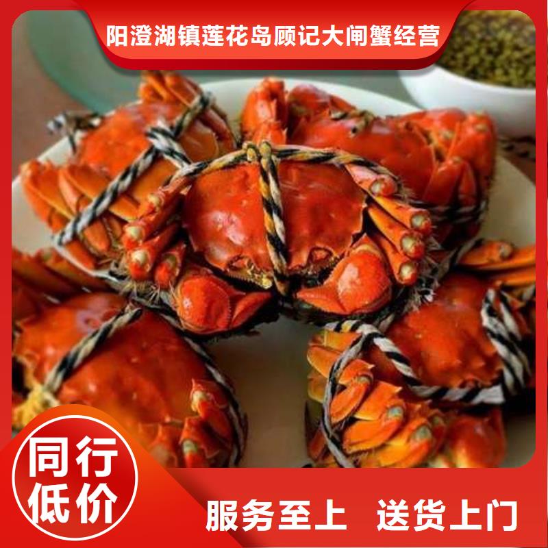 阳澄湖大闸蟹视频-阳澄湖大闸蟹-阳澄湖镇岛顾记大闸蟹经营部(泸州市分公司)服务区域泸县|江阳|眉山|凉山|阿坝|广安