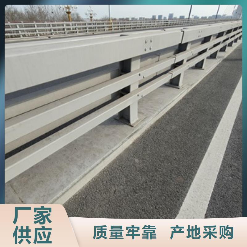 桥梁人行道护栏企业-经营丰富