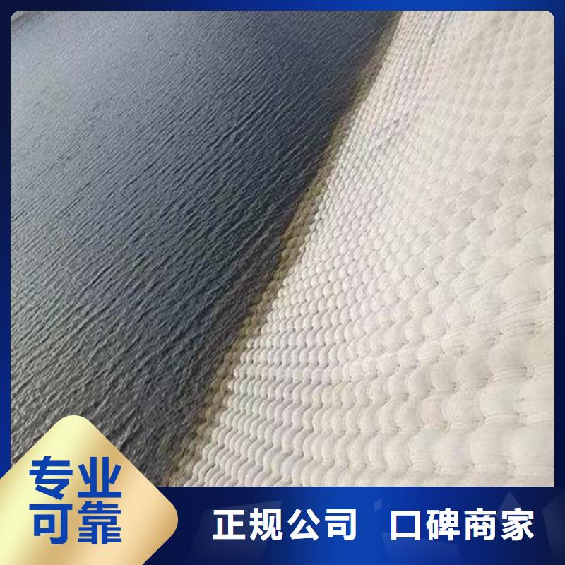 蛙人服务公司管道气囊封堵公司注重质量