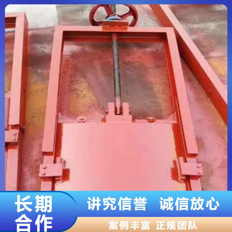 平面钢闸门	