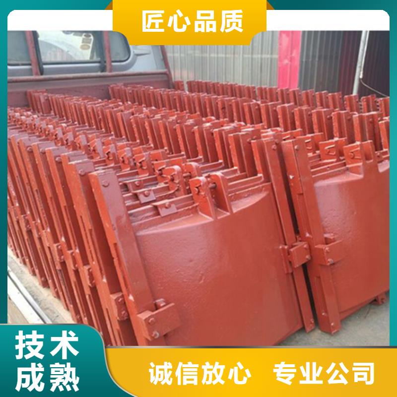 规格全的双向转动闸门品牌厂家