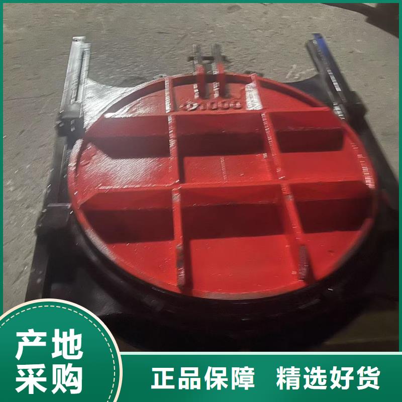 渠道闸门-手动启闭机闸门环保型