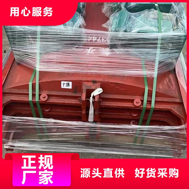 渠道闸门-双向止水铸铁镶铜闸门信誉良好