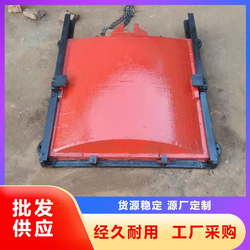 铸铁镶铜方形闸门、铸铁镶铜方形闸门生产厂家-诚信经营