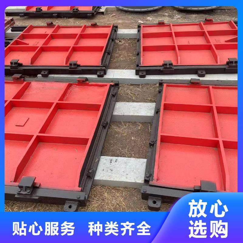 铸铁镶铜圆闸门