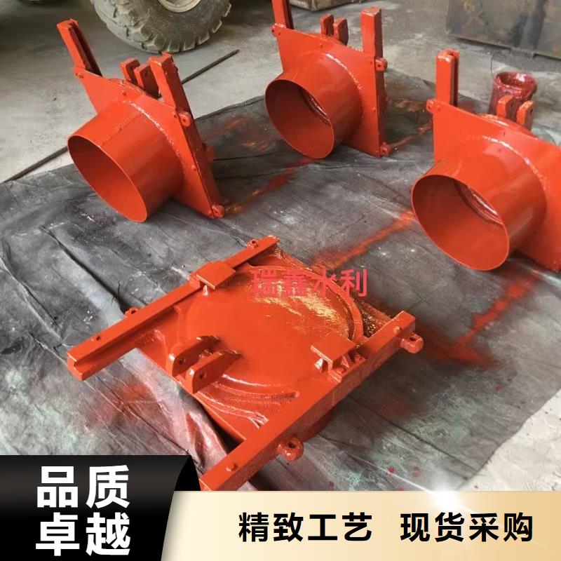 反向止水闸门挡水闸门贴心售后