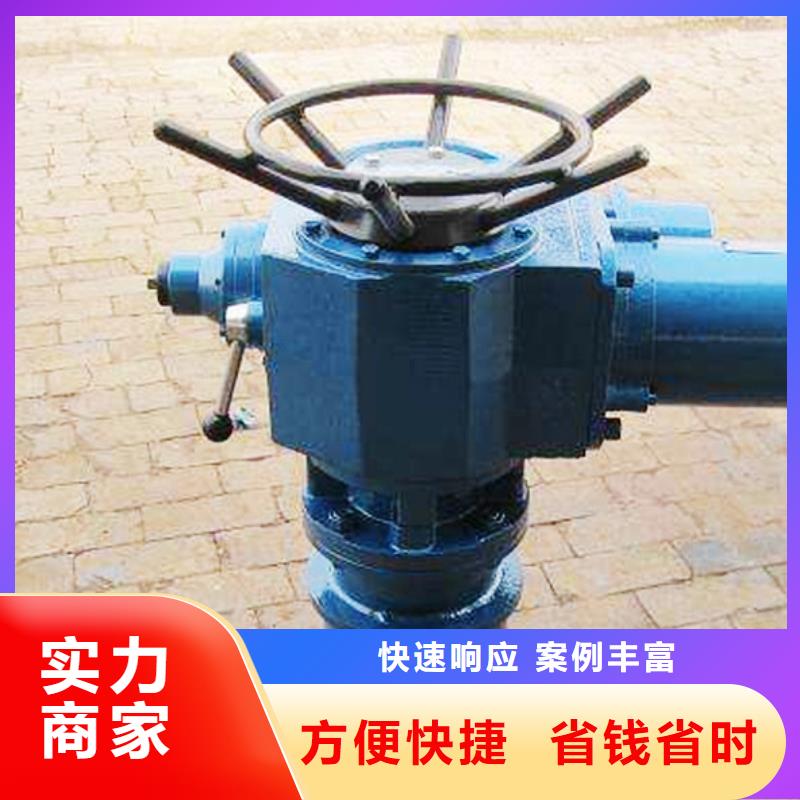 卷扬启闭机实力厂家生产