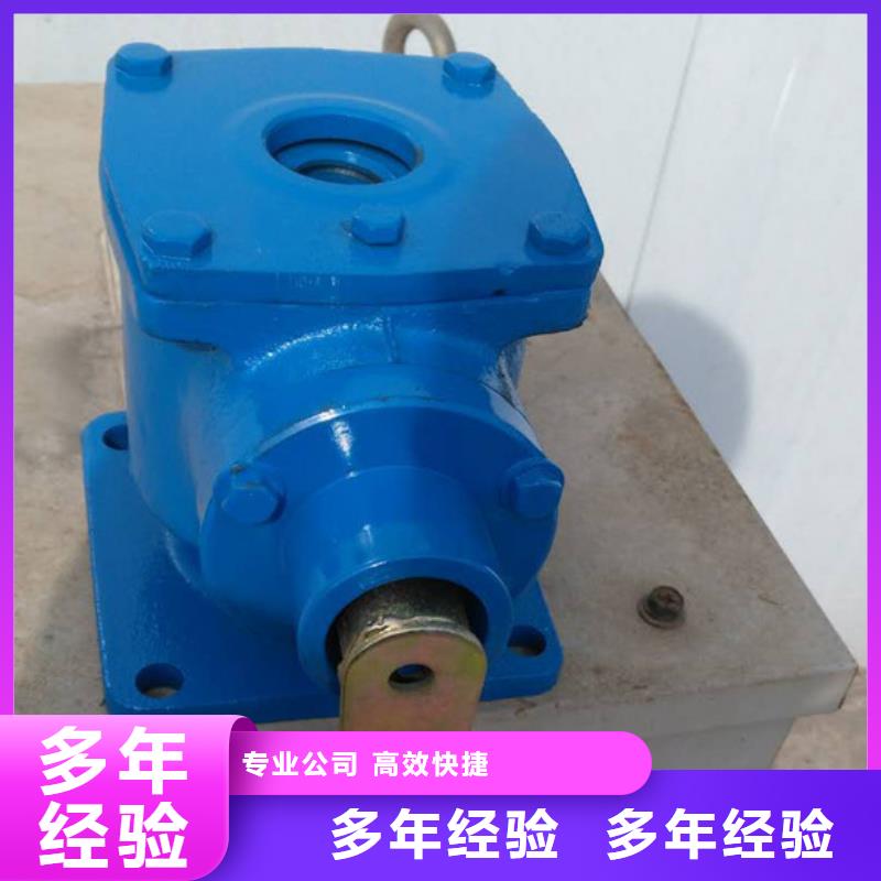 启闭机闸门水利启闭机源头厂家